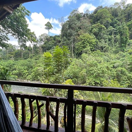Kupu Kupu Garden Guest House & Cafe Bukit Lawang Exterior foto