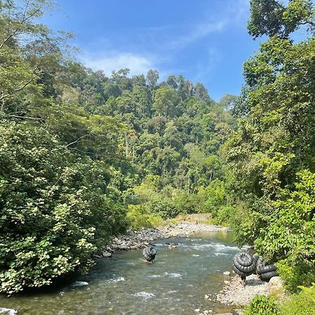 Kupu Kupu Garden Guest House & Cafe Bukit Lawang Exterior foto