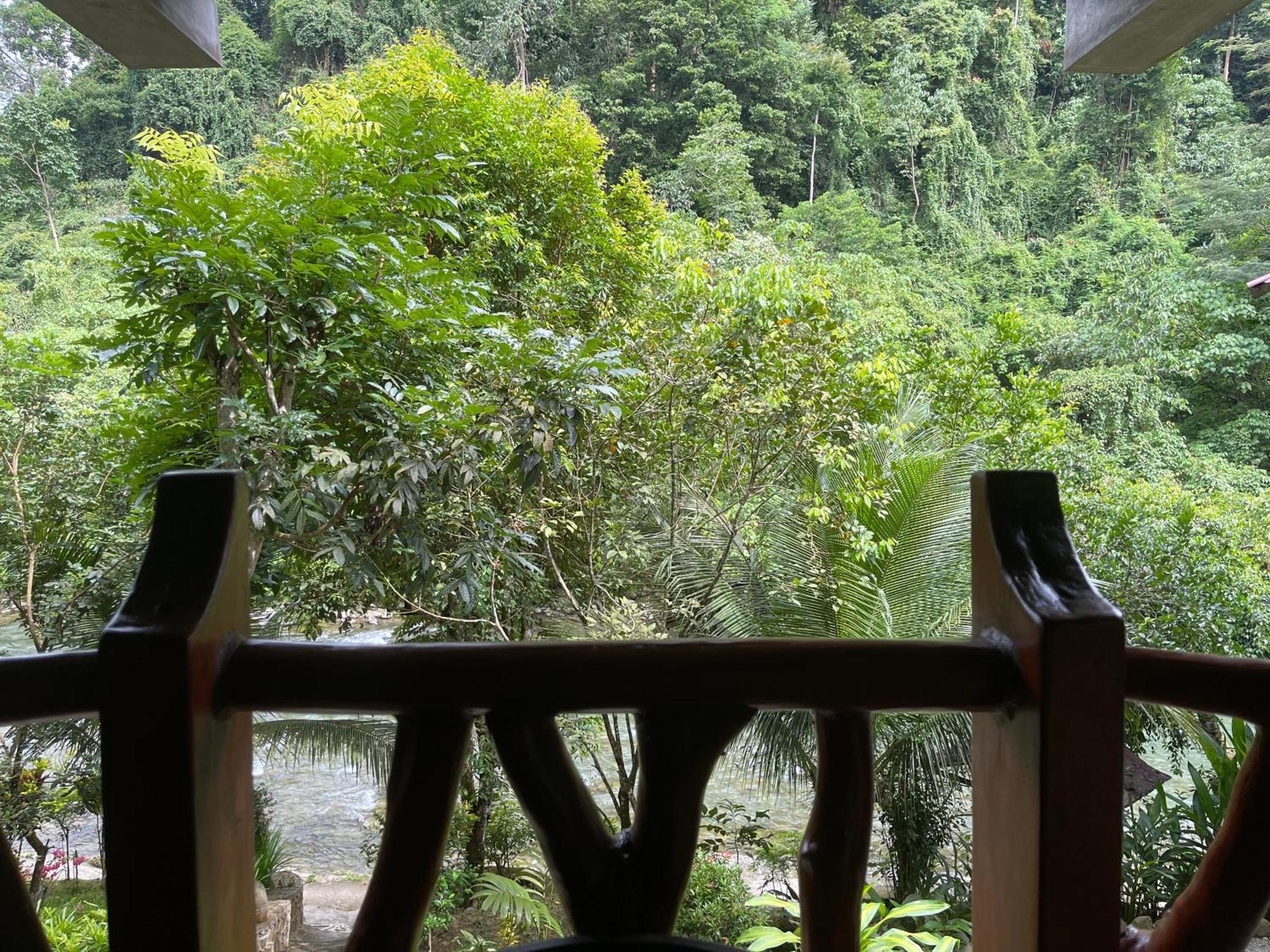 Kupu Kupu Garden Guest House & Cafe Bukit Lawang Exterior foto