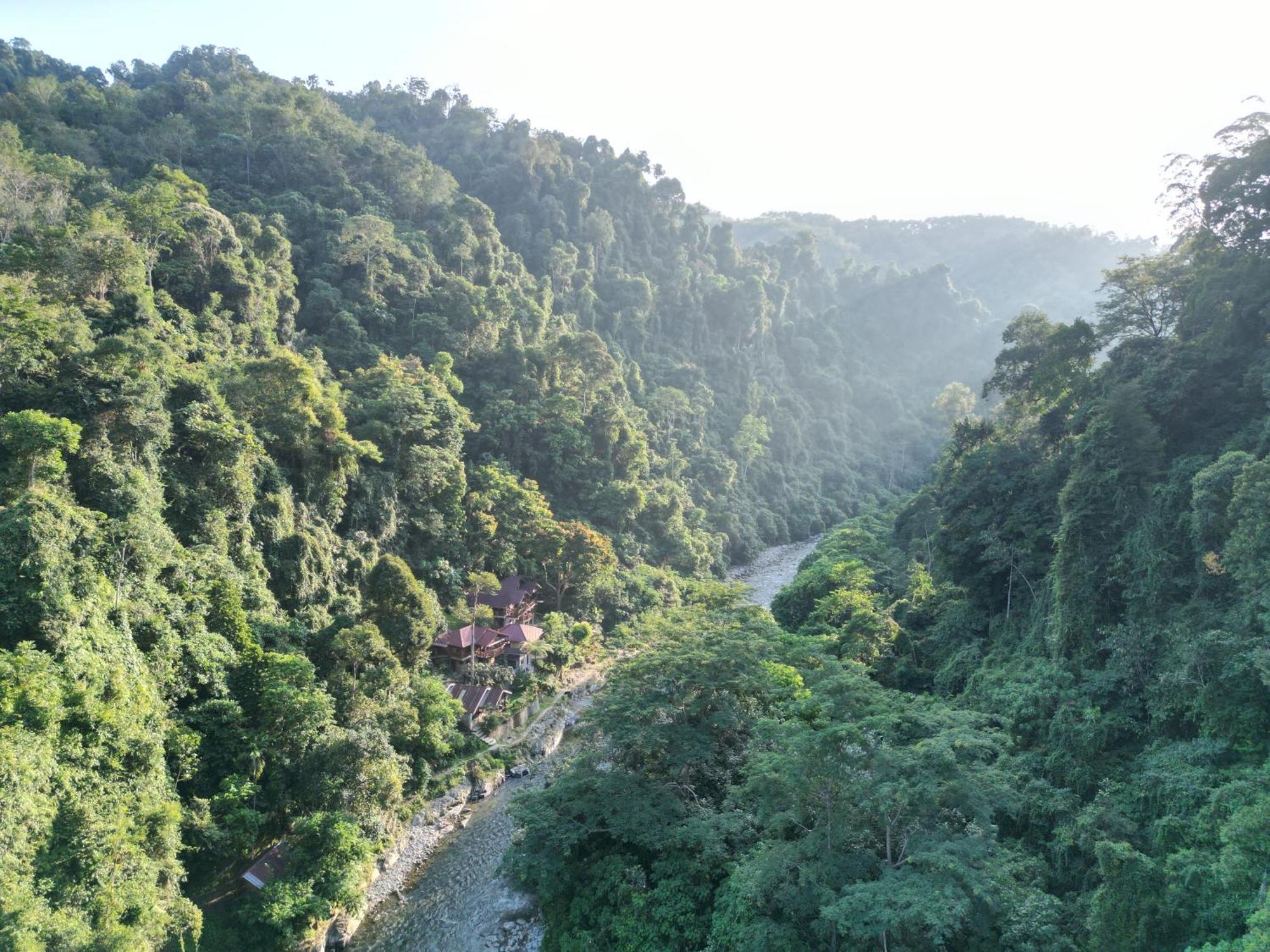 Kupu Kupu Garden Guest House & Cafe Bukit Lawang Exterior foto