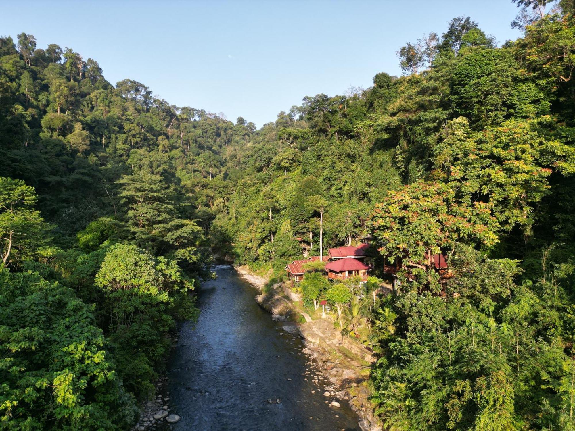 Kupu Kupu Garden Guest House & Cafe Bukit Lawang Exterior foto