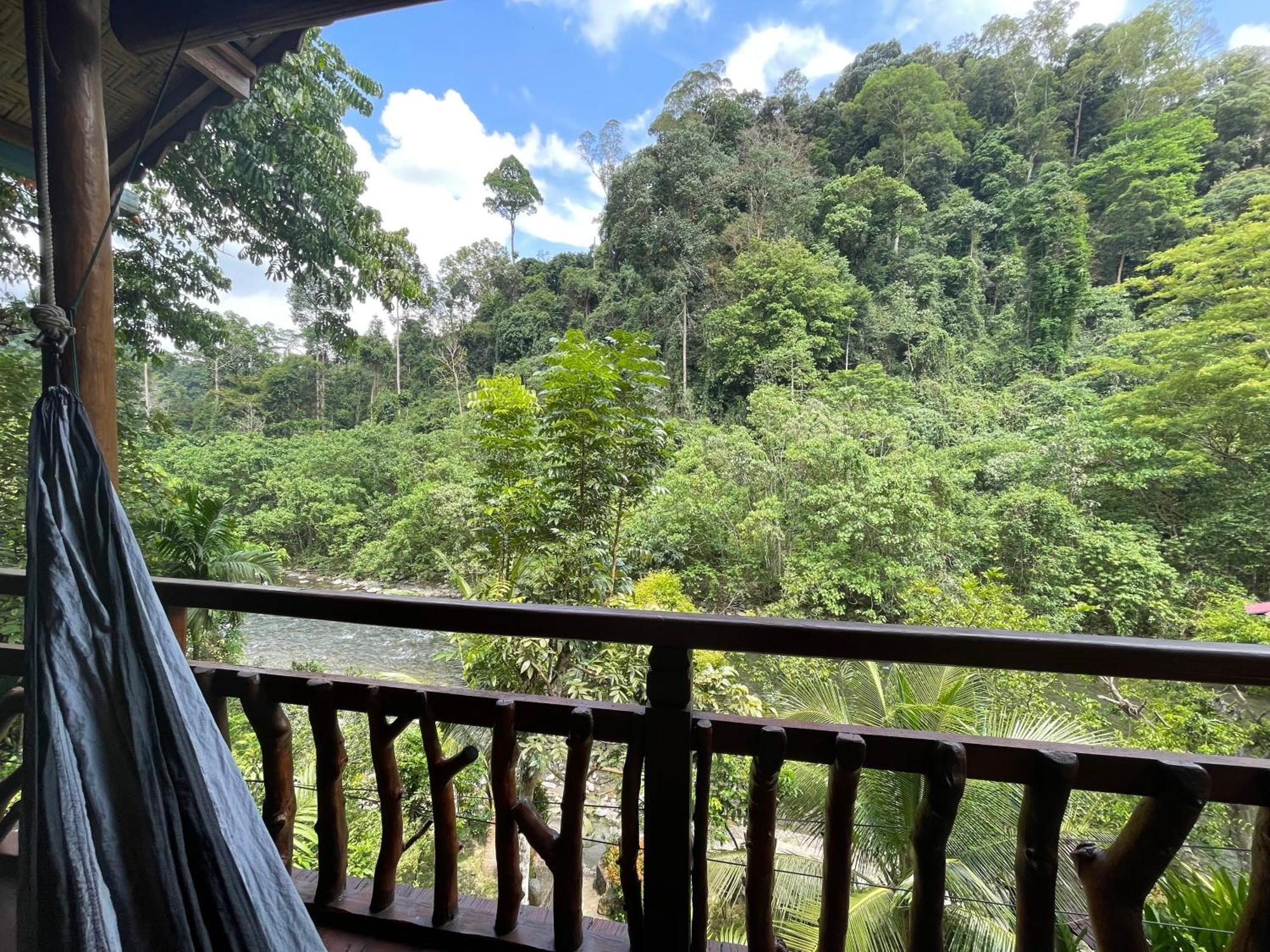 Kupu Kupu Garden Guest House & Cafe Bukit Lawang Exterior foto