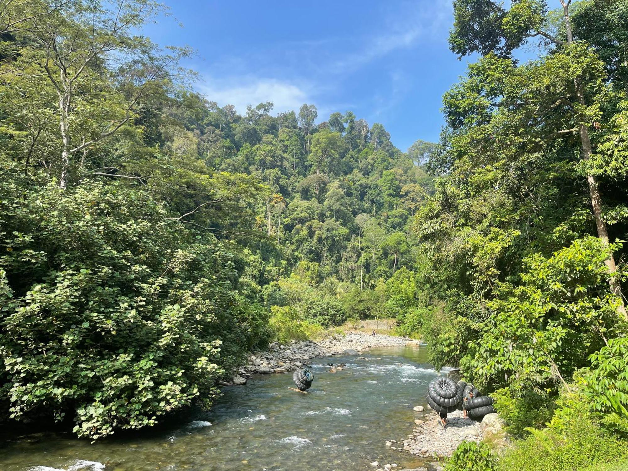 Kupu Kupu Garden Guest House & Cafe Bukit Lawang Exterior foto