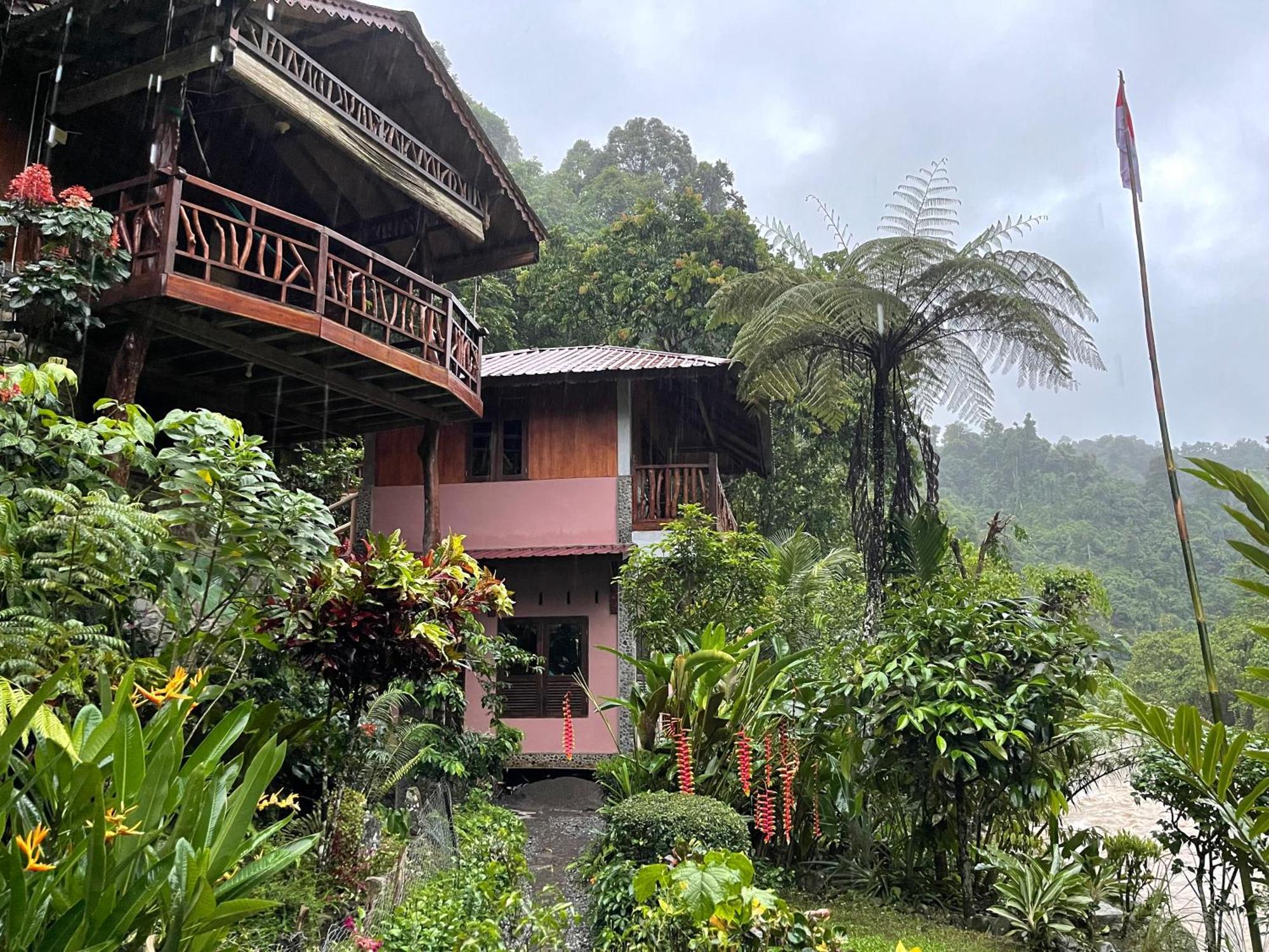 Kupu Kupu Garden Guest House & Cafe Bukit Lawang Exterior foto