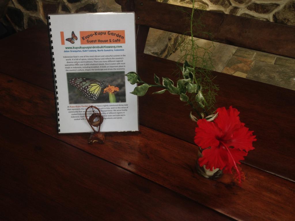 Kupu Kupu Garden Guest House & Cafe Bukit Lawang Exterior foto