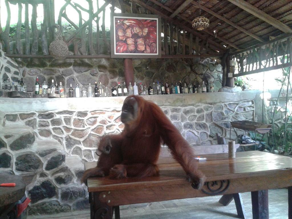 Kupu Kupu Garden Guest House & Cafe Bukit Lawang Exterior foto