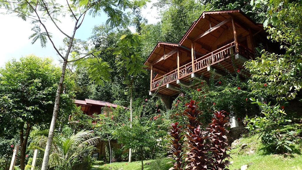 Kupu Kupu Garden Guest House & Cafe Bukit Lawang Exterior foto