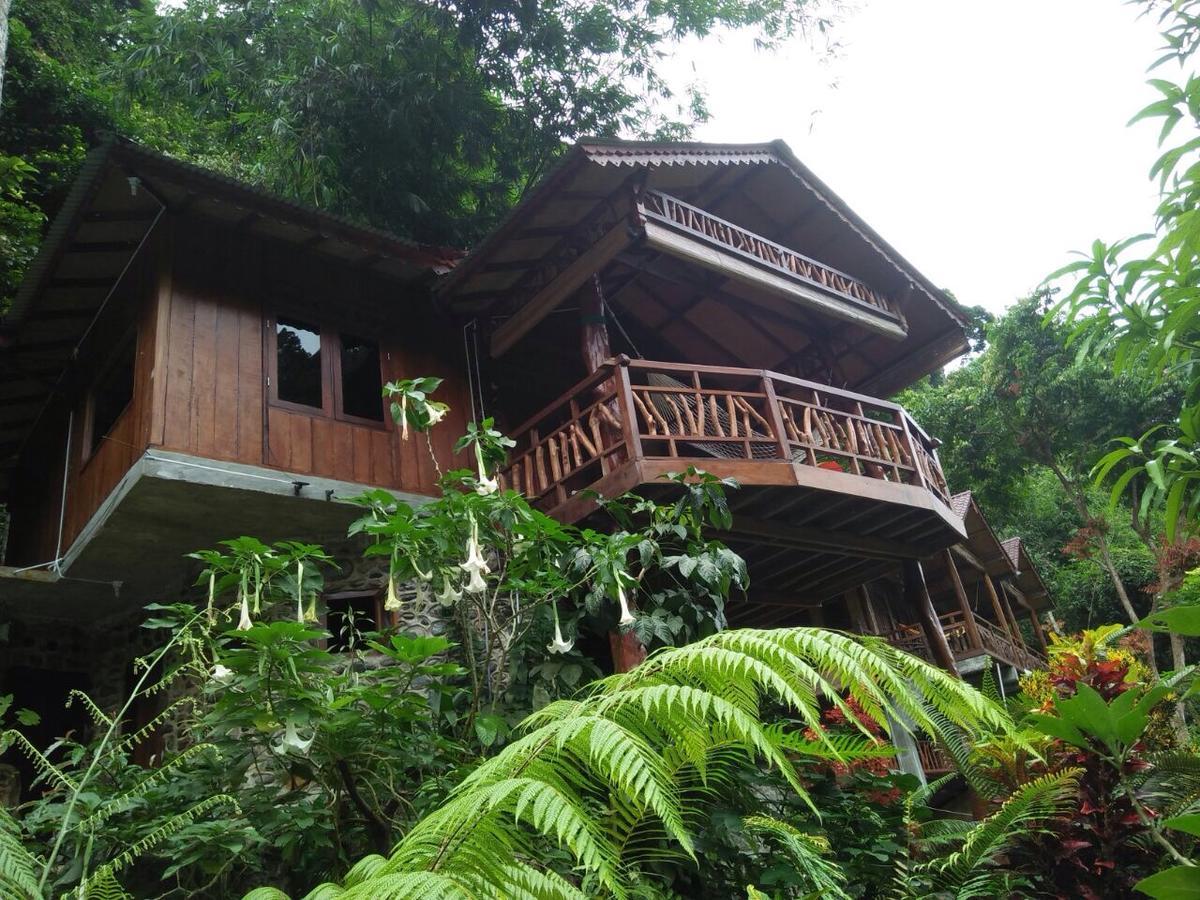 Kupu Kupu Garden Guest House & Cafe Bukit Lawang Exterior foto