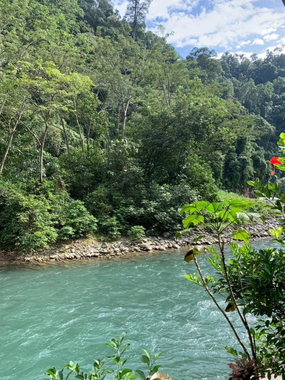 Kupu Kupu Garden Guest House & Cafe Bukit Lawang Exterior foto
