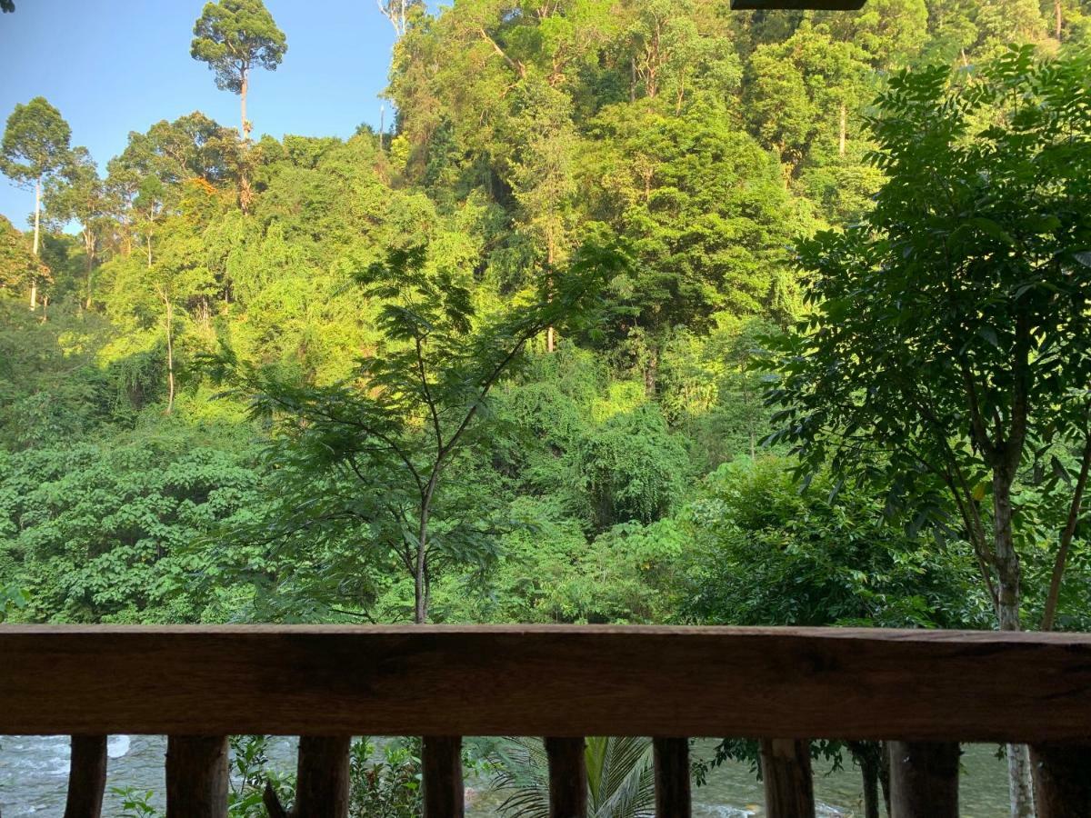 Kupu Kupu Garden Guest House & Cafe Bukit Lawang Exterior foto