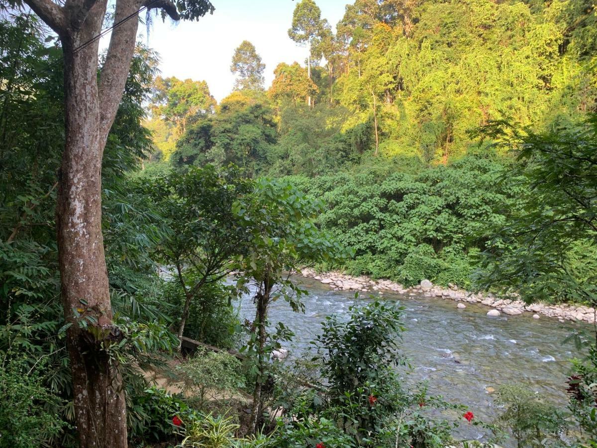 Kupu Kupu Garden Guest House & Cafe Bukit Lawang Exterior foto