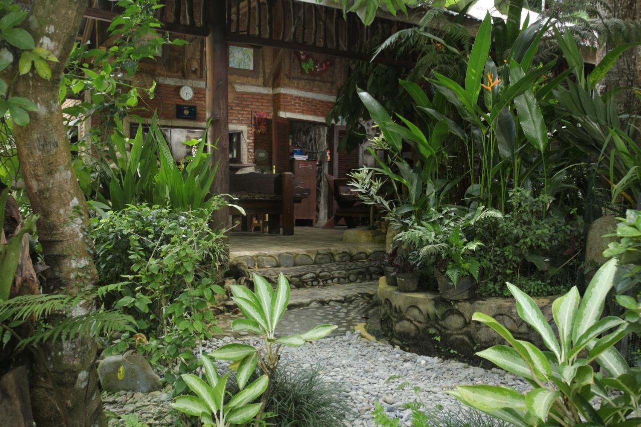 Kupu Kupu Garden Guest House & Cafe Bukit Lawang Exterior foto